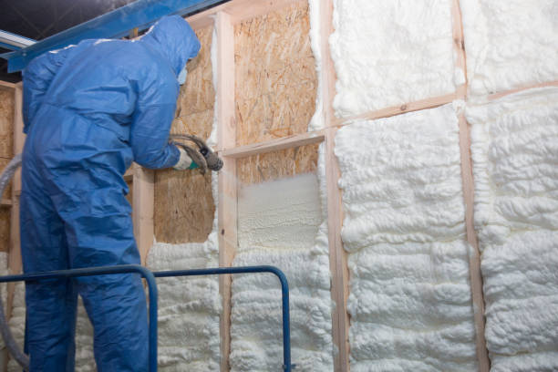 Best Insulation for New Construction  in Pantego, TX